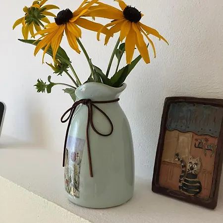 Apartamento Pod Jánským Vrchem